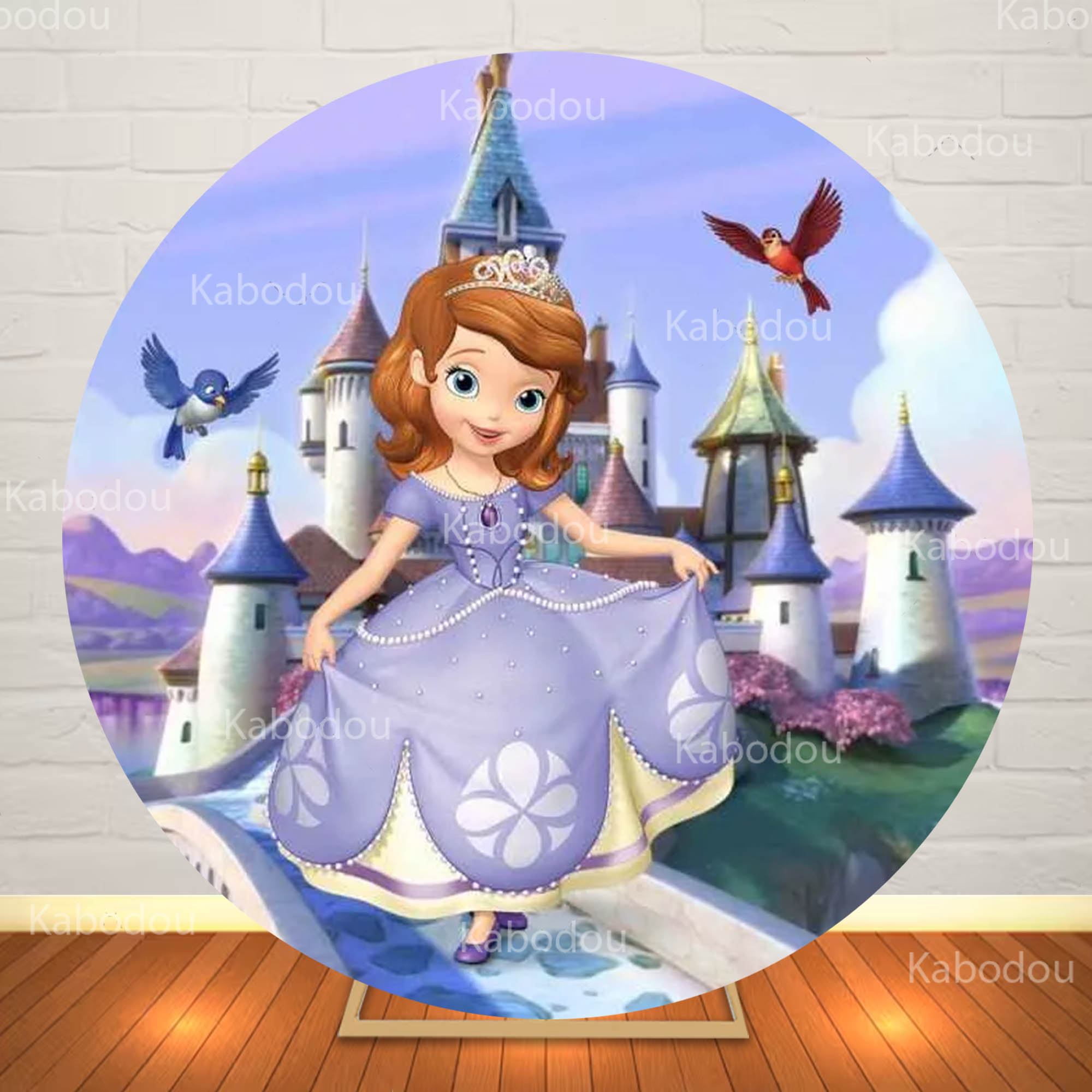 Sofia the First Round Backdrop – Photography Aesthetic Bewertung und Preis