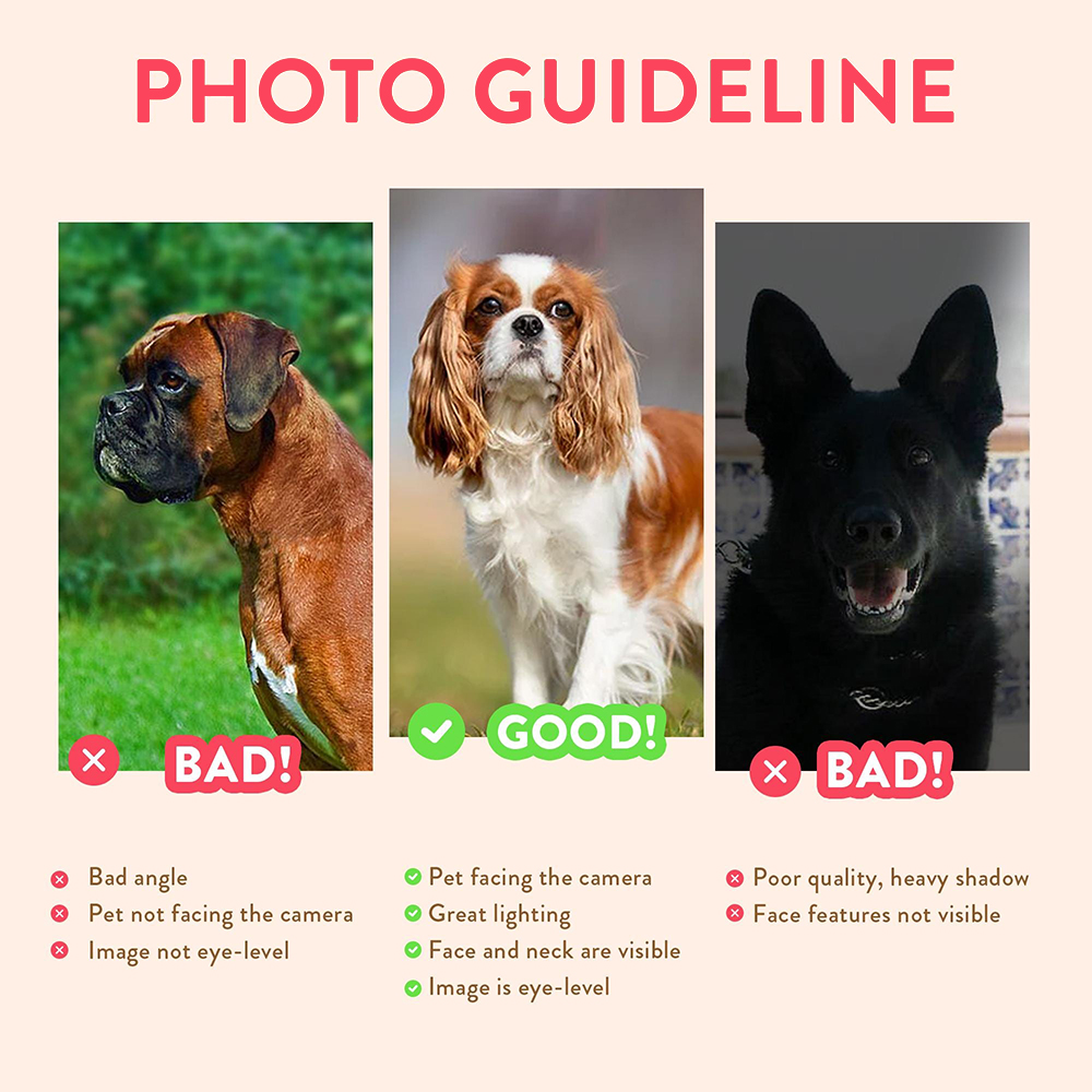 Personalized Pet Portraits Pho – Photography Object Bewertung und Preis