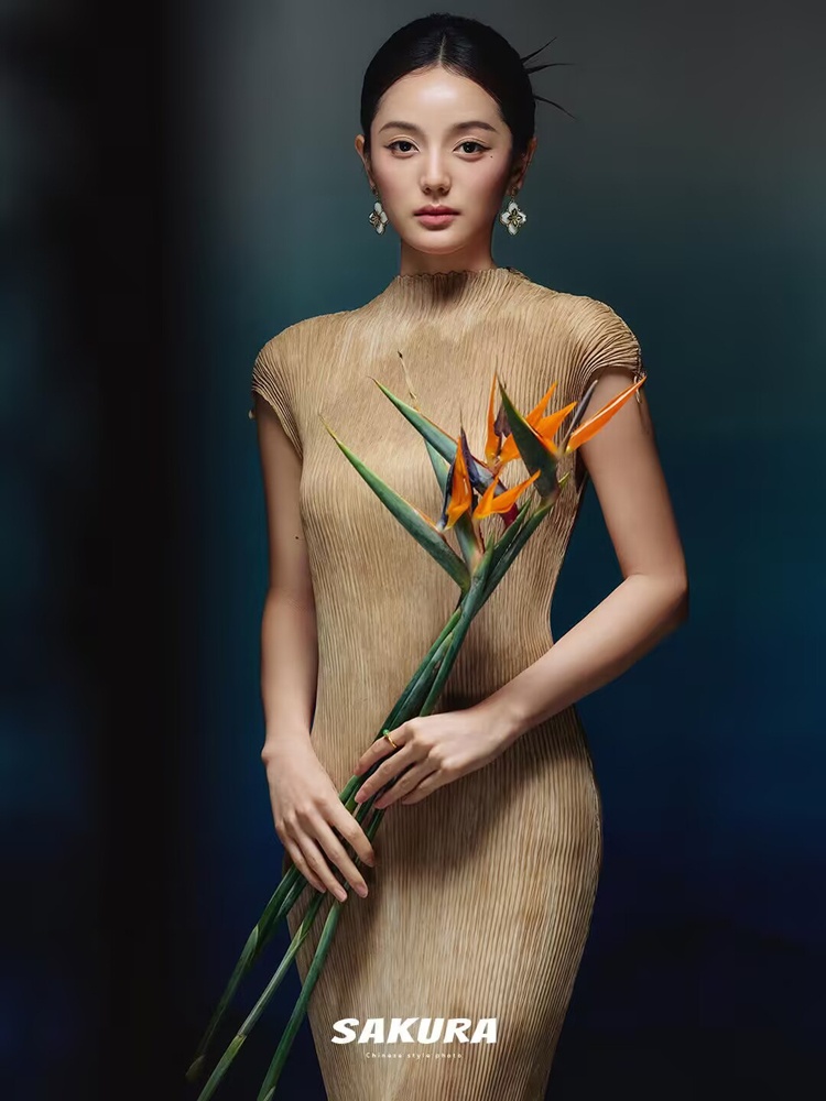 New 2026 Chinese Style Portrai – Photography Aesthetic Bewertung und Preis