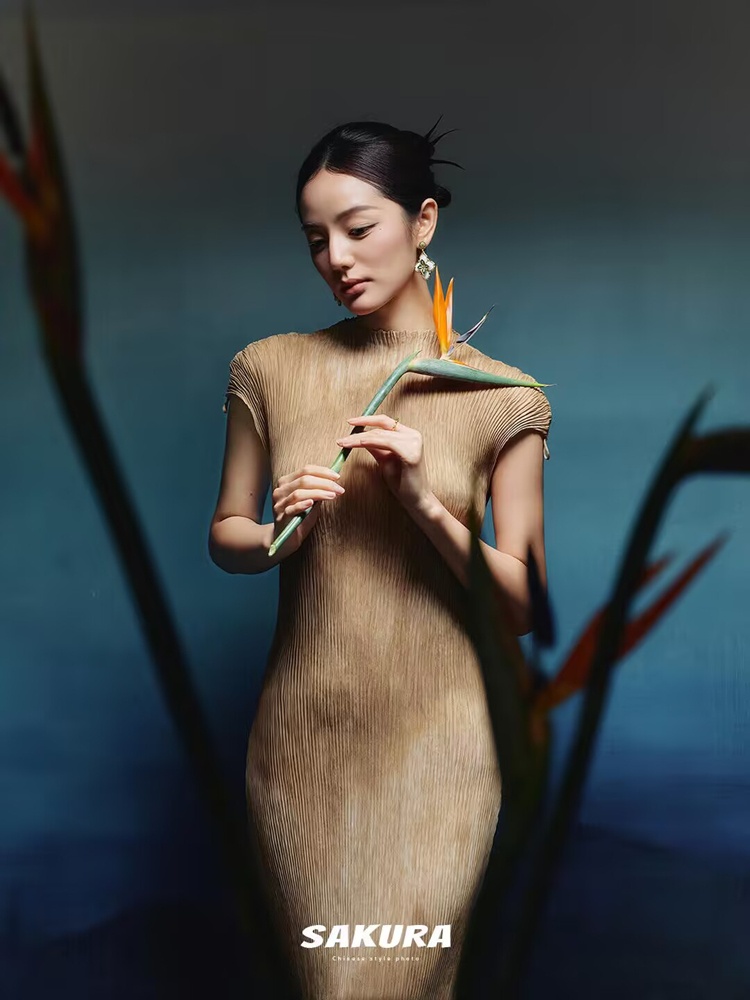 New 2026 Chinese Style Portrai – Photography Aesthetic Bewertung und Preis