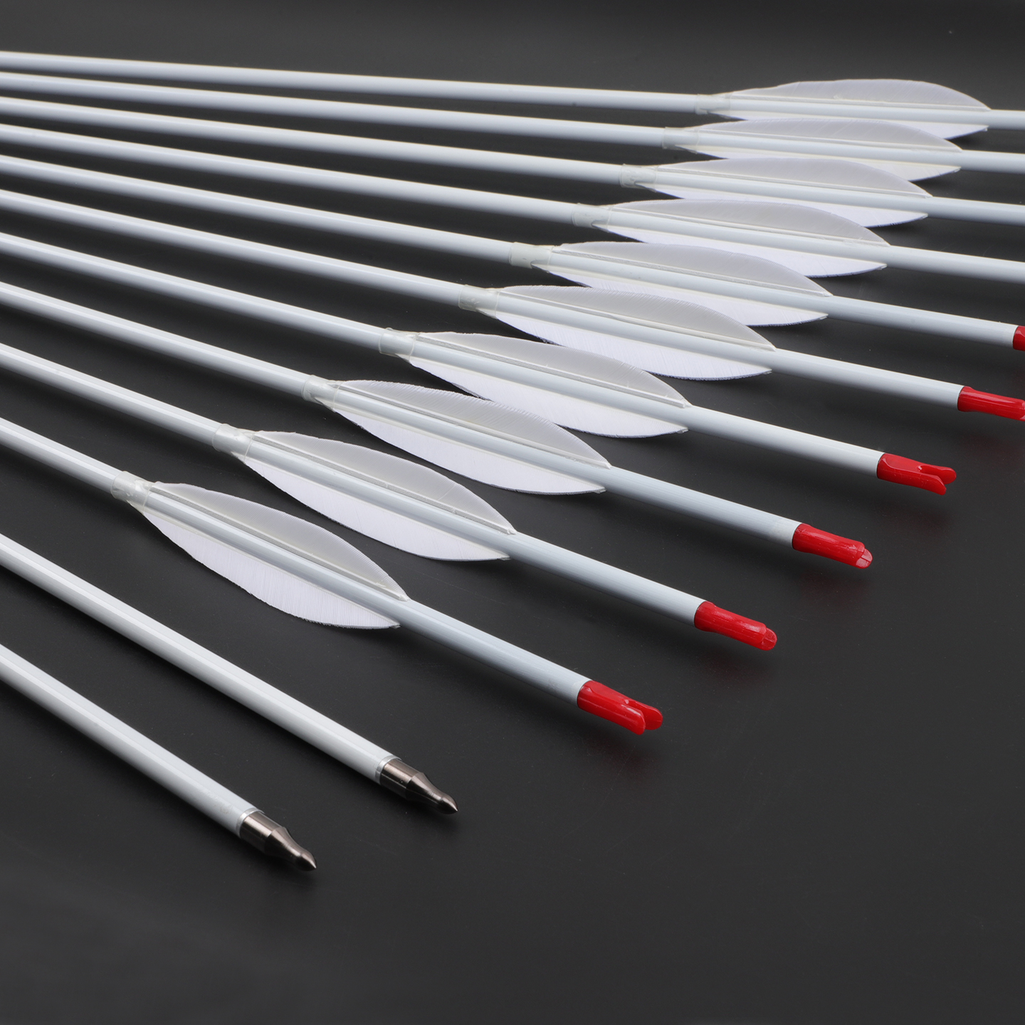 Pure Carbon Arrows White 33inc – Photography Training Bewertung und Preis