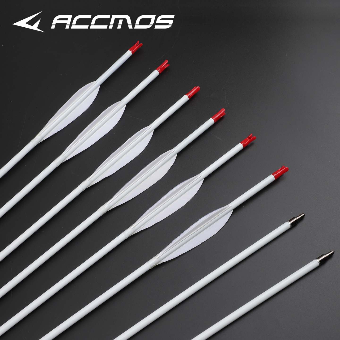 Pure Carbon Arrows White 33inc – Photography Training Bewertung und Preis