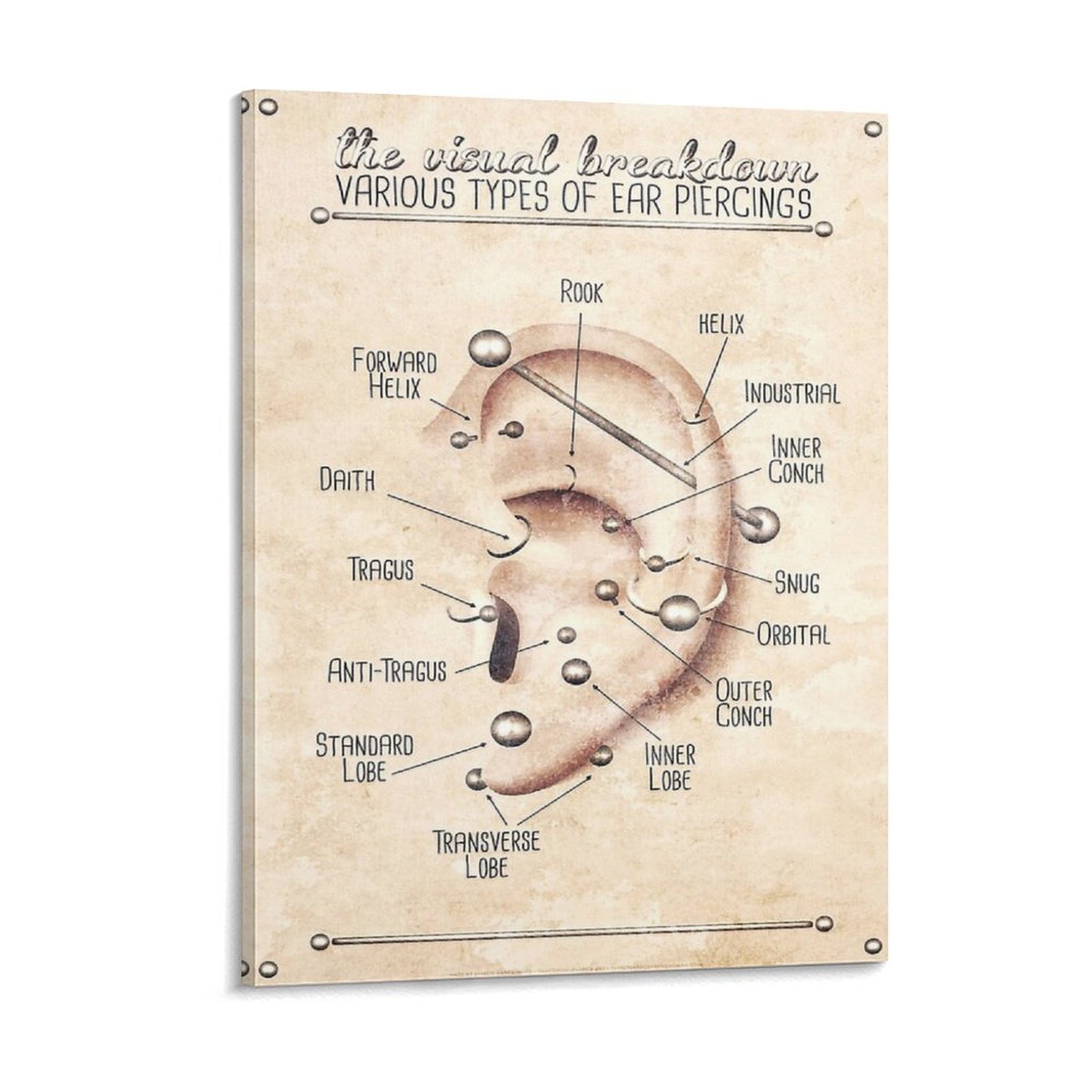 Ear Piercing Infographic Chart – Photography Nature Bewertung und Preis
