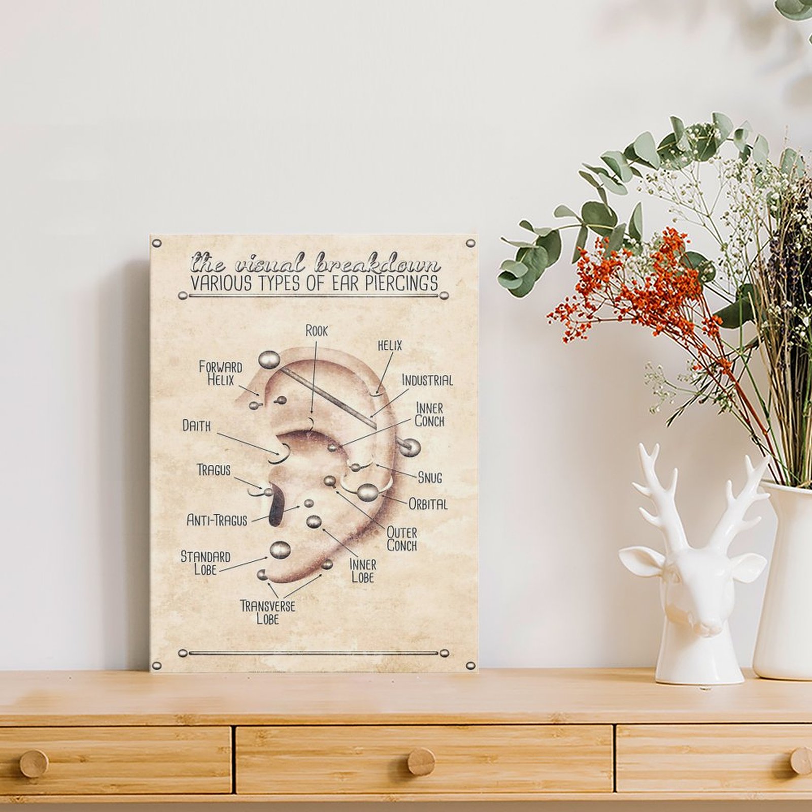 Ear Piercing Infographic Chart – Photography Nature Bewertung und Preis